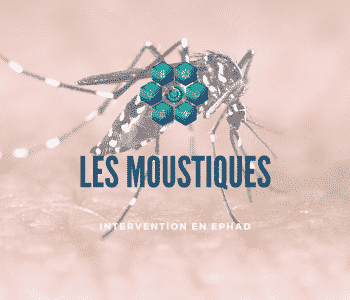 se débarrasser des moustiques