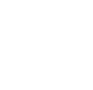 Icone virus