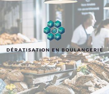 rats boulangerie