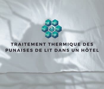 Traitement anti punaises de lit