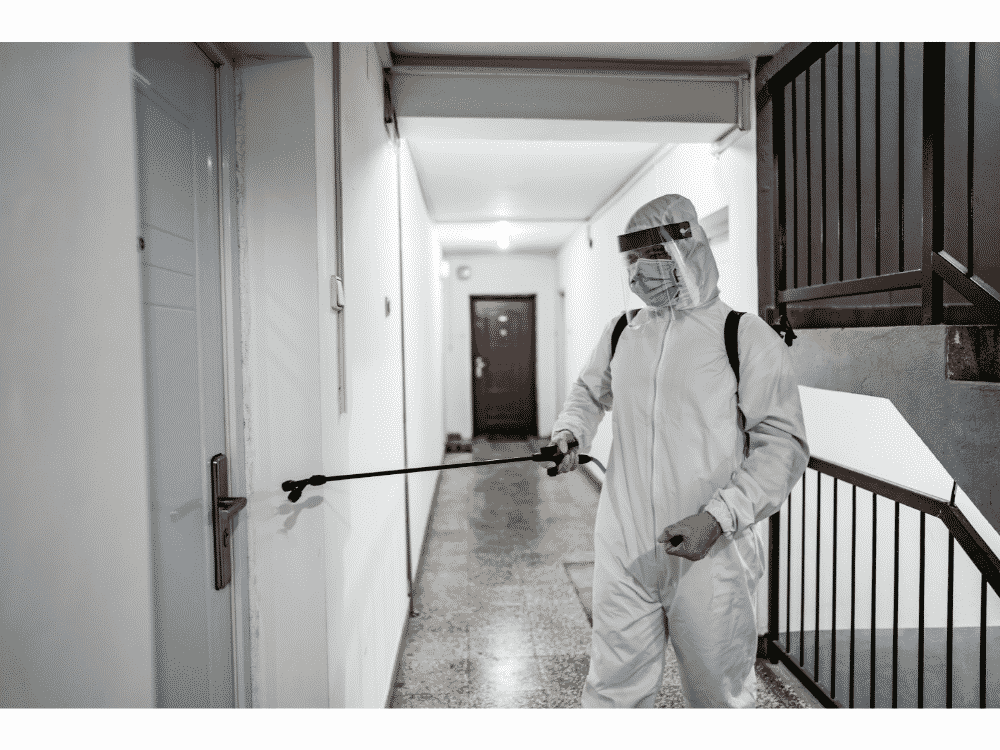 Désinsectisation d'un HLM