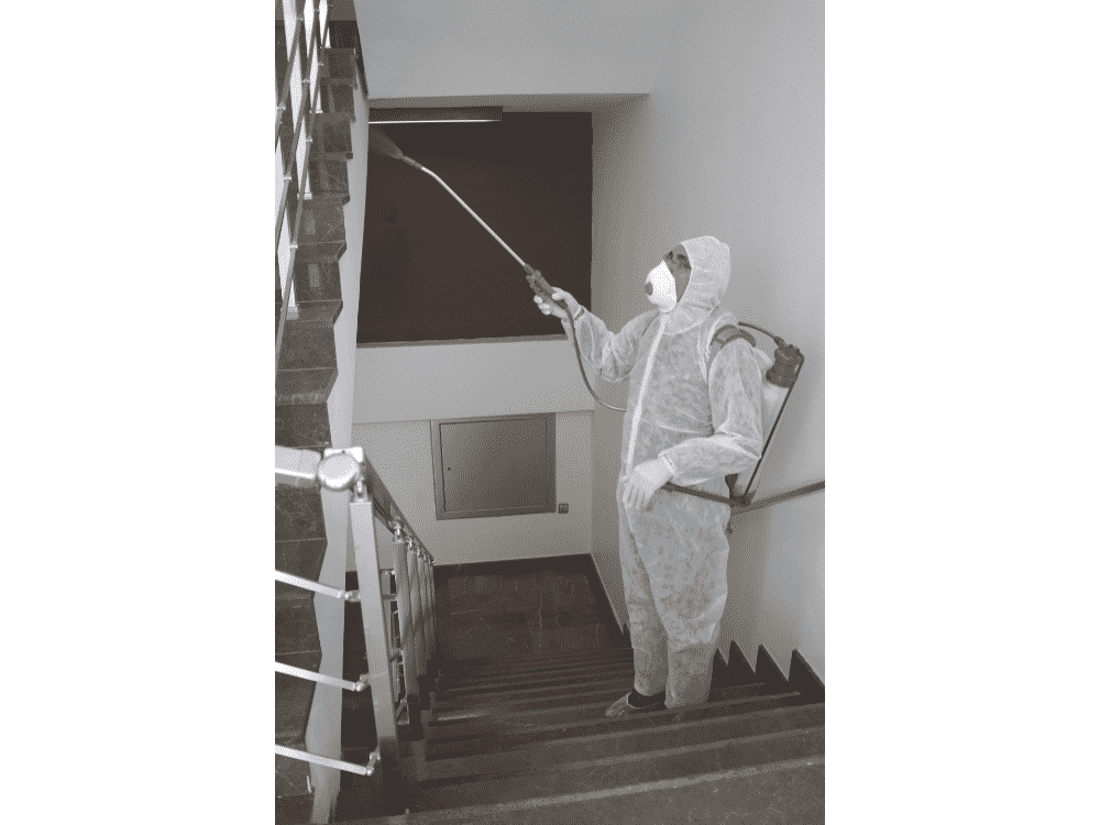 Désinsectisation d’un foyer