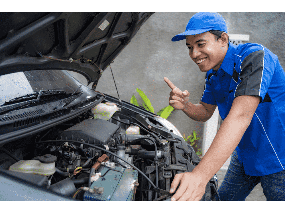 Comment dératiser une voiture ?