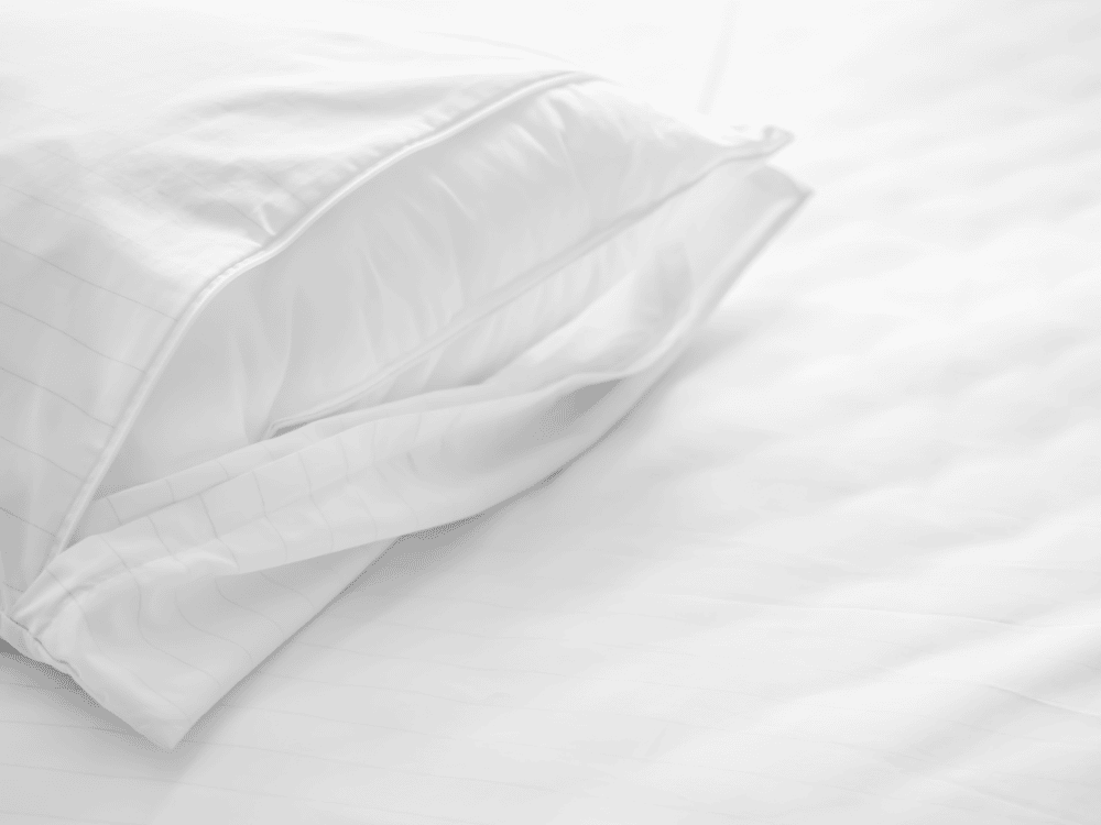 Dératisation Désinsectisation, Expert en punaises de lit à Rians