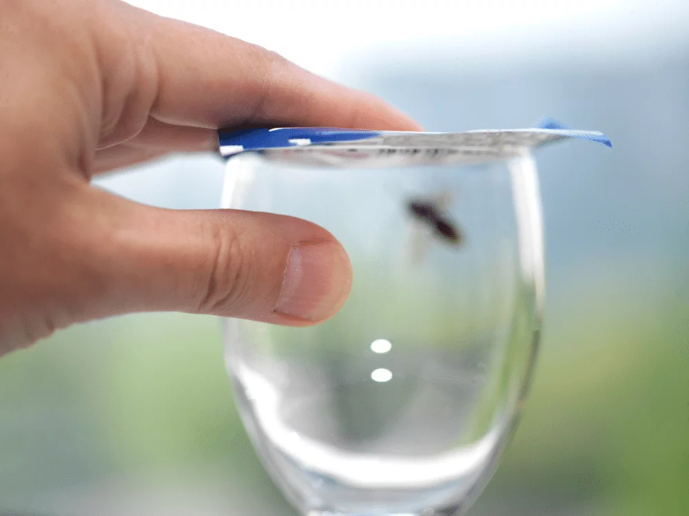 Comment se débarrasser des poissons d'argent ?
